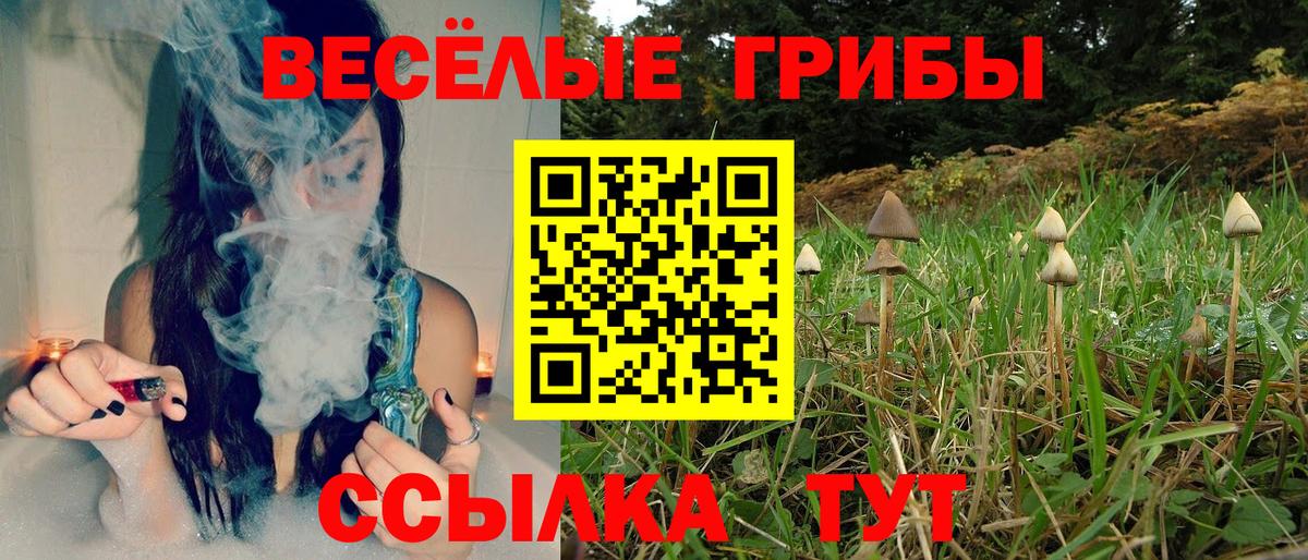 Карталы  Галлюциногенные грибы Cubensis  Вход с VPN 
